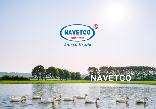 navetco.com.vn